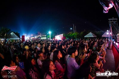 Cat Expo 5 ที่ Wonder World Theme Park (อัลบั้ม1/2) — photo 88