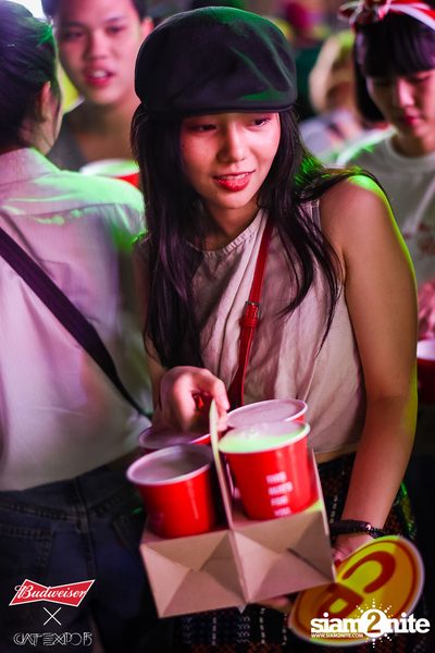 Cat Expo 5 ที่ Wonder World Theme Park (อัลบั้ม1/2) — photo 105
