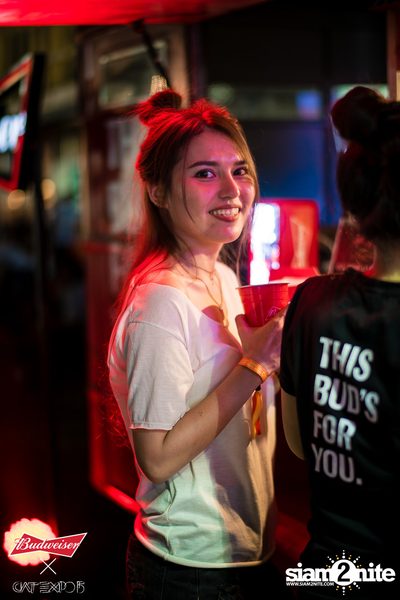 Cat Expo 5 ที่ Wonder World Theme Park (อัลบั้ม1/2) — photo 119