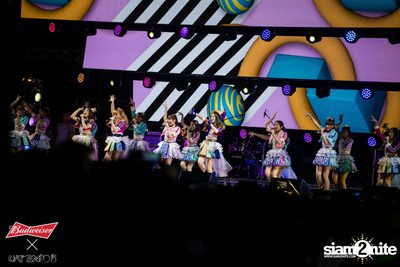 Cat Expo 5 ที่ Wonder World Theme Park (อัลบั้ม1/2) — photo 121