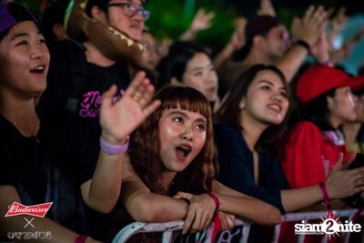 Cat Expo 5 ที่ Wonder World Theme Park (อัลบั้ม1/2) — photo 139