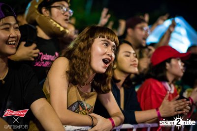 Cat Expo 5 ที่ Wonder World Theme Park (อัลบั้ม1/2) — photo 141