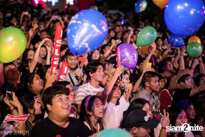 Cat Expo 5 ที่ Wonder World Theme Park (อัลบั้ม1/2) — photo 164