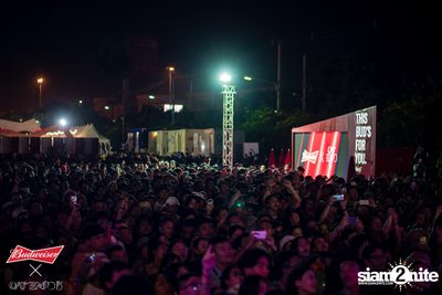Cat Expo 5 ที่ Wonder World Theme Park (อัลบั้ม1/2) — photo 171