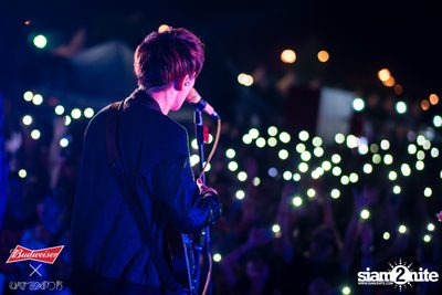 Cat Expo 5 ที่ Wonder World Theme Park (อัลบั้ม1/2) — photo 192