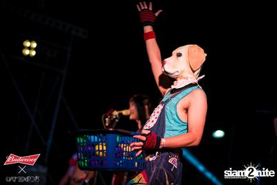 Cat Expo 5 ที่ Wonder World Theme Park (อัลบั้ม1/2) — photo 198