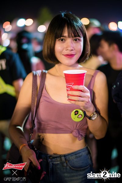 Cat Expo 5 ที่ Wonder World Theme Park (อัลบั้ม1/2) — photo 222