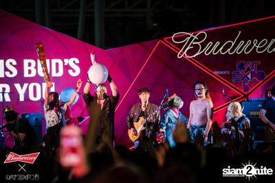 Cat Expo 5 ที่ Wonder World Theme Park (อัลบั้ม1/2) — photo 223