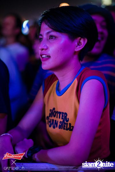 Cat Expo 5 ที่ Wonder World Theme Park (อัลบั้ม1/2) — photo 251