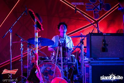 Cat Expo 5 ที่ Wonder World Theme Park (อัลบั้ม1/2) — photo 253