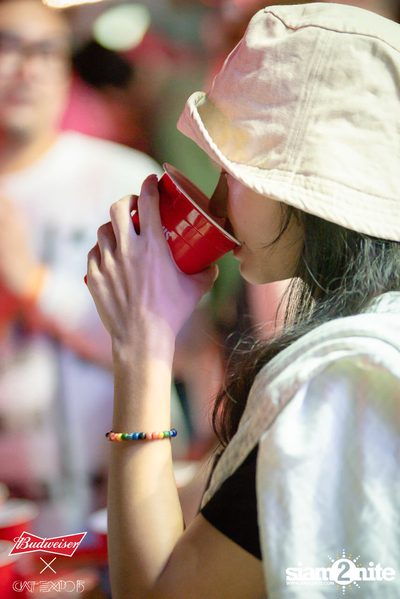Cat Expo 5 ที่ Wonder World Theme Park (อัลบั้ม 2/2) — photo 44
