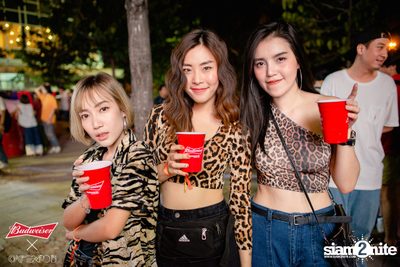 Cat Expo 5 ที่ Wonder World Theme Park (อัลบั้ม 2/2) — photo 69