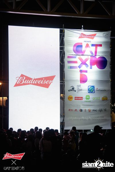Cat Expo 5 ที่ Wonder World Theme Park (อัลบั้ม 2/2) — photo 121