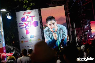 Cat Expo 5 ที่ Wonder World Theme Park (อัลบั้ม 2/2) — photo 124
