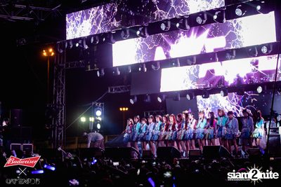 Cat Expo 5 ที่ Wonder World Theme Park (อัลบั้ม 2/2) — photo 128