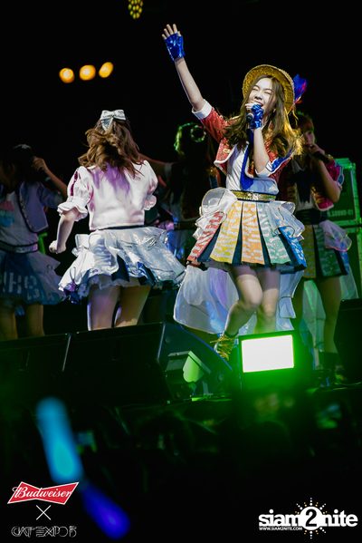Cat Expo 5 ที่ Wonder World Theme Park (อัลบั้ม 2/2) — photo 131