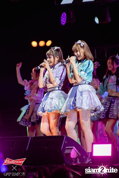 Cat Expo 5 ที่ Wonder World Theme Park (อัลบั้ม 2/2) — photo 134