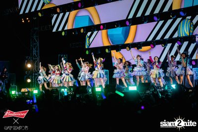 Cat Expo 5 ที่ Wonder World Theme Park (อัลบั้ม 2/2) — photo 137