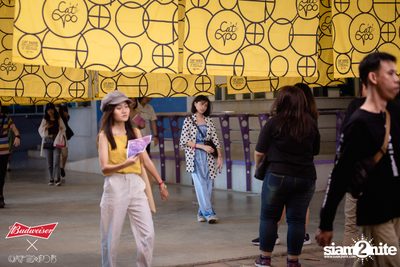 Cat Expo 5 ที่ Wonder World Theme Park (อัลบั้ม 2/2) — photo 185