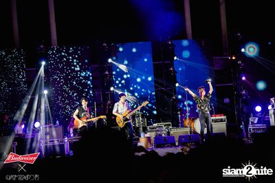 Cat Expo 5 ที่ Wonder World Theme Park (อัลบั้ม 2/2) — photo 189