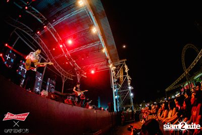 Cat Expo 5 ที่ Wonder World Theme Park (อัลบั้ม 2/2) — photo 199
