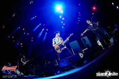 Cat Expo 5 ที่ Wonder World Theme Park (อัลบั้ม 2/2) — photo 203