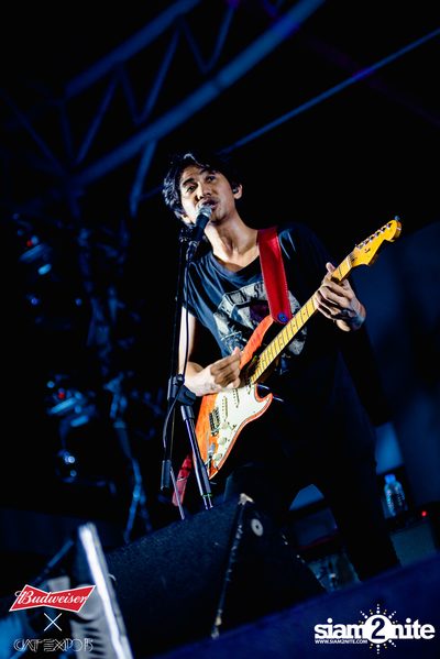 Cat Expo 5 ที่ Wonder World Theme Park (อัลบั้ม 2/2) — photo 208