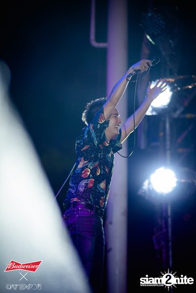 Cat Expo 5 ที่ Wonder World Theme Park (อัลบั้ม 2/2) — photo 211