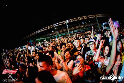 Cat Expo 5 ที่ Wonder World Theme Park (อัลบั้ม 2/2) — photo 217