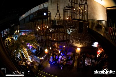 Zeal at The Living Bistro & Bar — photo 25