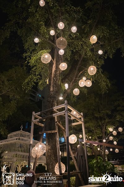 Jazz in the Garden at 137 Pillars — photo 35