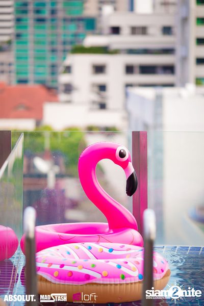 Splash Pool Party at SPLASH at Aloft — photo 9