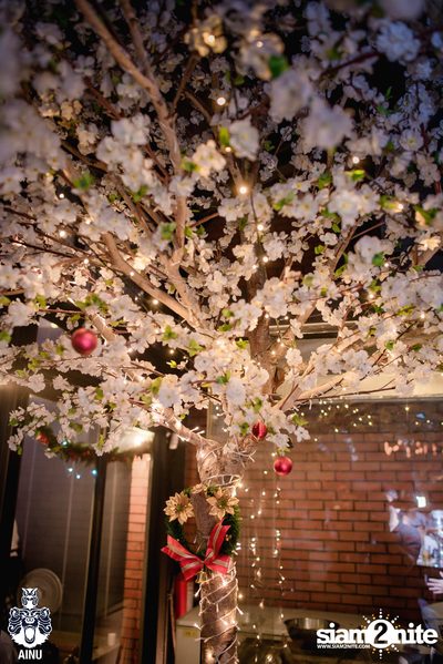 Christmas Eve at Ainu Bar — photo 16