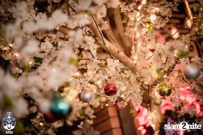 Christmas Eve at Ainu Bar — photo 48
