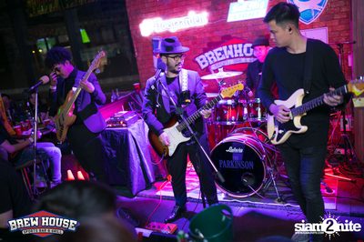 Brew House Brew Fest w/ The Parkinson — photo 95