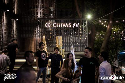 YESS PARTY pres. The Toys at DND Club — photo 43