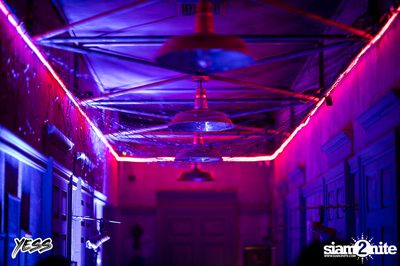 YESS PARTY pres. The Toys at DND Club — photo 52