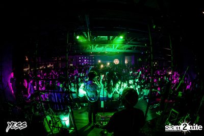 YESS PARTY pres. The Toys at DND Club — photo 120