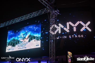 Fly Beyond Tonight presents The Mystique Forest at ONYX — photo 1