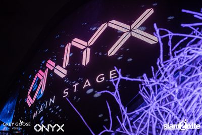 Fly Beyond Tonight presents The Mystique Forest at ONYX — photo 2