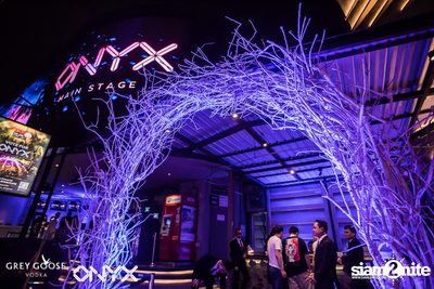 Fly Beyond Tonight presents The Mystique Forest at ONYX — photo 4