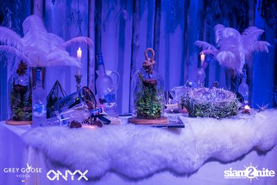 Fly Beyond Tonight presents The Mystique Forest at ONYX — photo 6