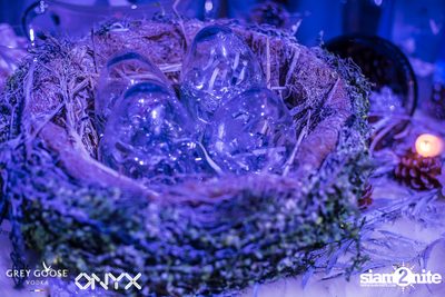 Fly Beyond Tonight presents The Mystique Forest at ONYX — photo 7
