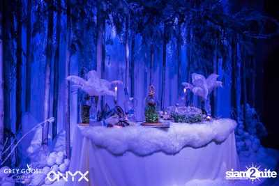 Fly Beyond Tonight presents The Mystique Forest at ONYX — photo 8