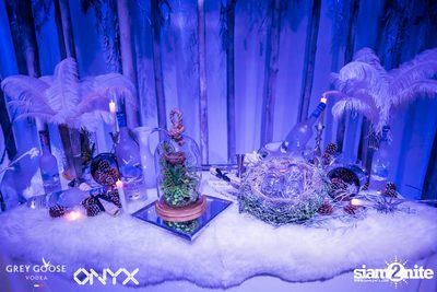 Fly Beyond Tonight presents The Mystique Forest at ONYX — photo 10