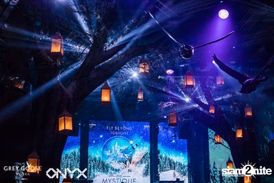 Fly Beyond Tonight presents The Mystique Forest at ONYX — photo 11