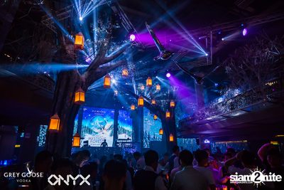 Fly Beyond Tonight presents The Mystique Forest at ONYX — photo 12