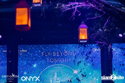 Fly Beyond Tonight presents The Mystique Forest at ONYX — photo 13
