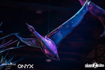 Fly Beyond Tonight presents The Mystique Forest at ONYX — photo 14