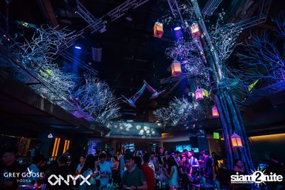 Fly Beyond Tonight presents The Mystique Forest at ONYX — photo 15